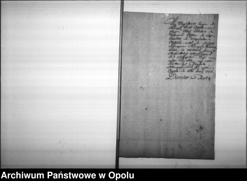 Obraz 11 z jednostki "Acta des Magistrats zu Oppeln betreffend die Legitimation unehelich erzeugter Kinder und Personen Vol. I"