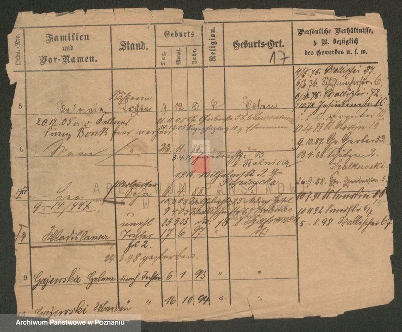 Obraz 17 z jednostki "Paluszkiewicz Pankow"