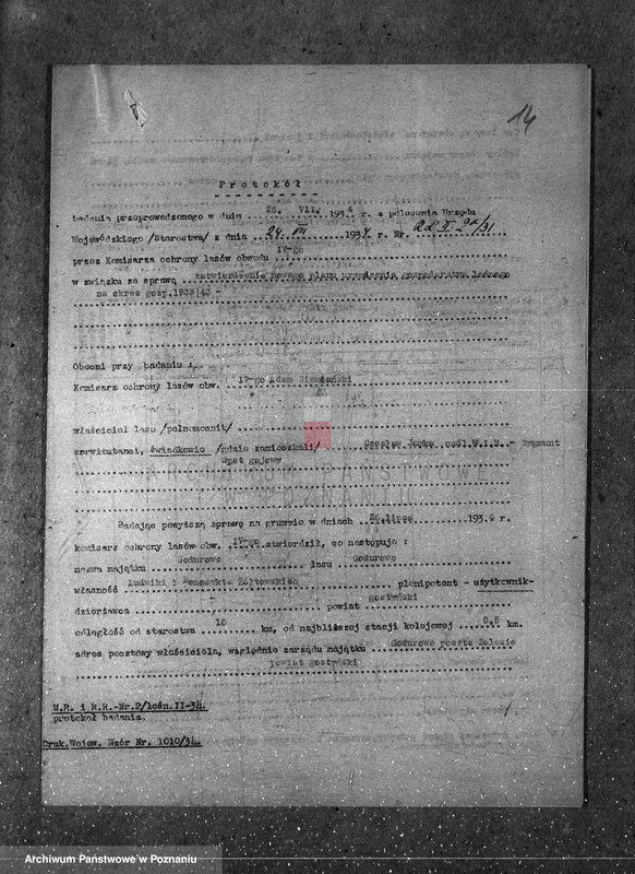 Obraz 18 z jednostki "Majętność leśna Godurowo w powiecie gostyńskim"