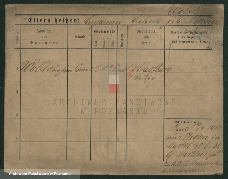 Obraz 7 z jednostki "Wolf (żonaci - samotni mężczyźni)"