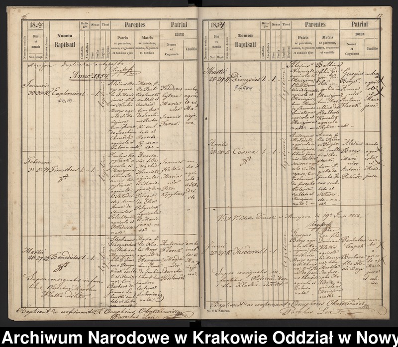 image.from.team "Akta stanu cywilnego Parafii Greckokatolickiej w Maciejowej"