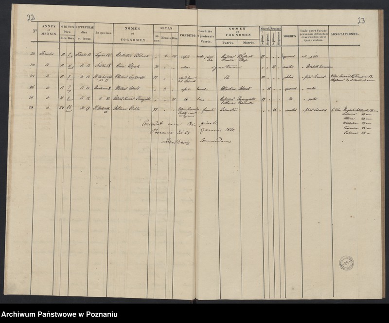 Obraz 14 z jednostki "Indeks zgonów"