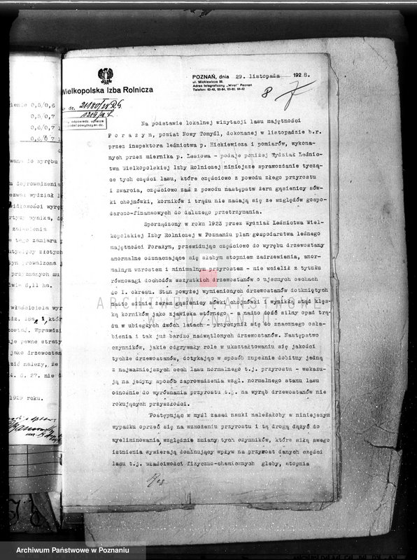 Obraz 12 z jednostki "Majętność leśna Porażyn w powiecie nowotomyskim"