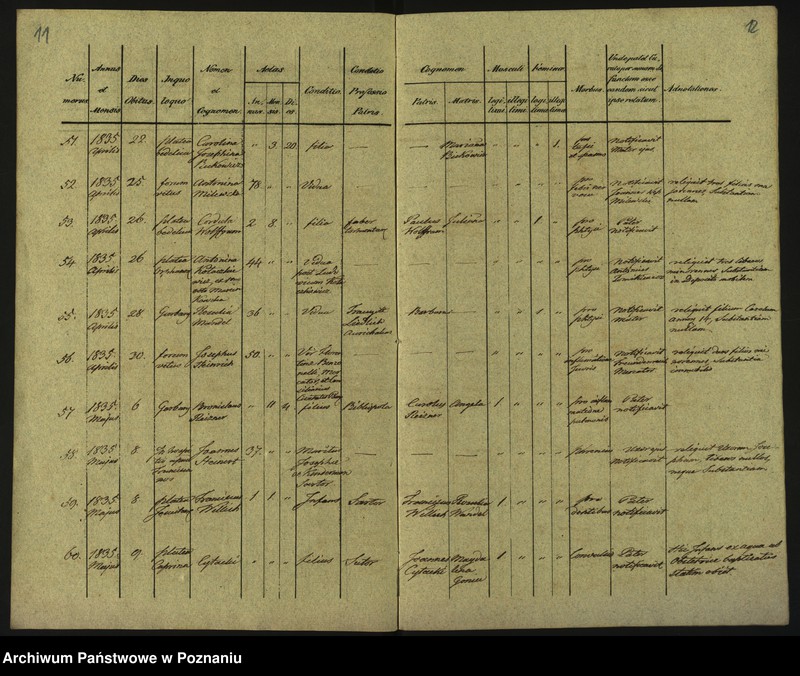 Obraz 9 z jednostki "Księga zgonów"