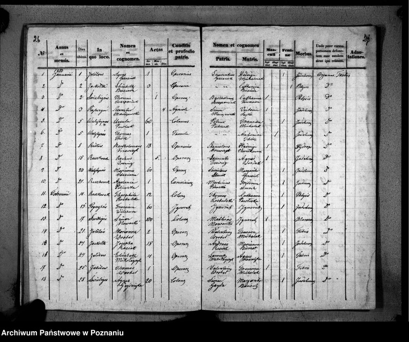 image.from.unit.number "Duplikaty urodzeń, małżeństw i zmarłych"