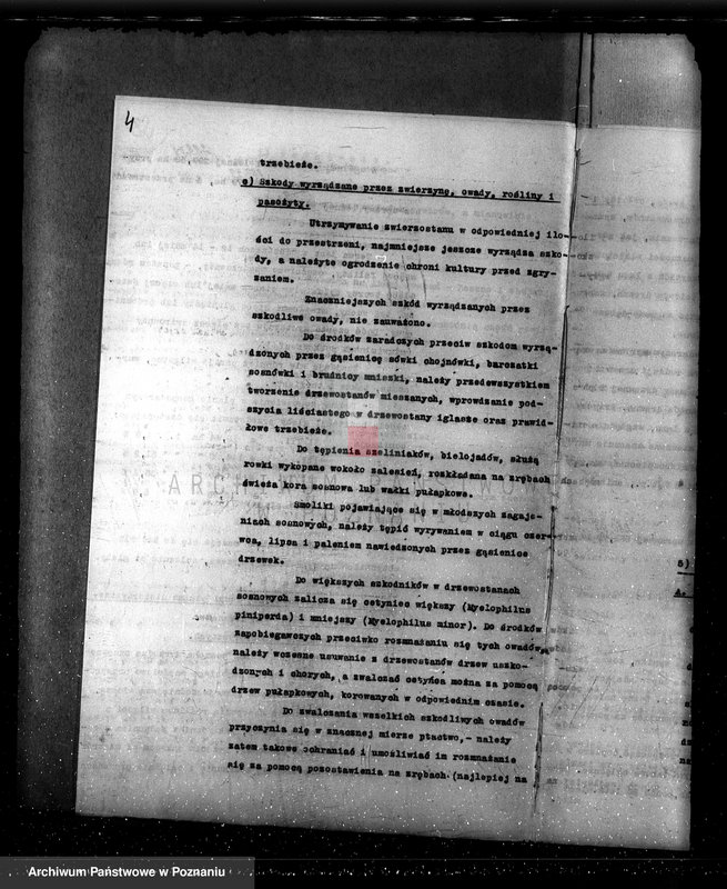 Obraz 8 z jednostki "Plan urządzania gospodarstwa leśnego dla lasu majętności Bonikowo - powiat kościański"