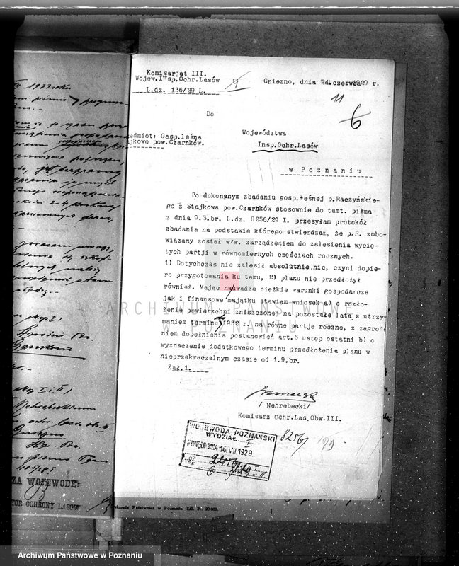 Obraz 17 z jednostki "Nadzór nad gospodarką leśną w lasach majętności Stajkowo powiecie czarnkowskim"