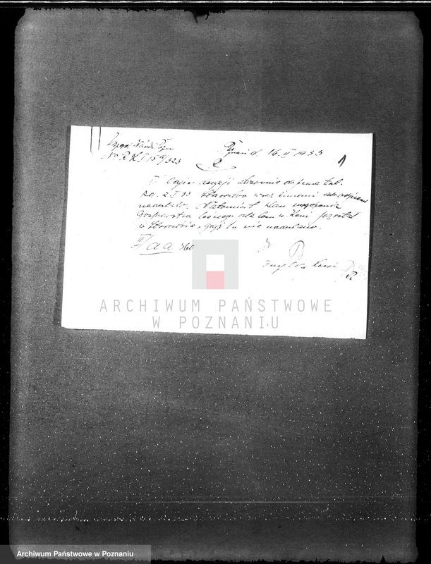 Obraz 4 z jednostki "Nadzór nad gospodarką w lasach L. Kanteckiego Kania powiat ostrowski"