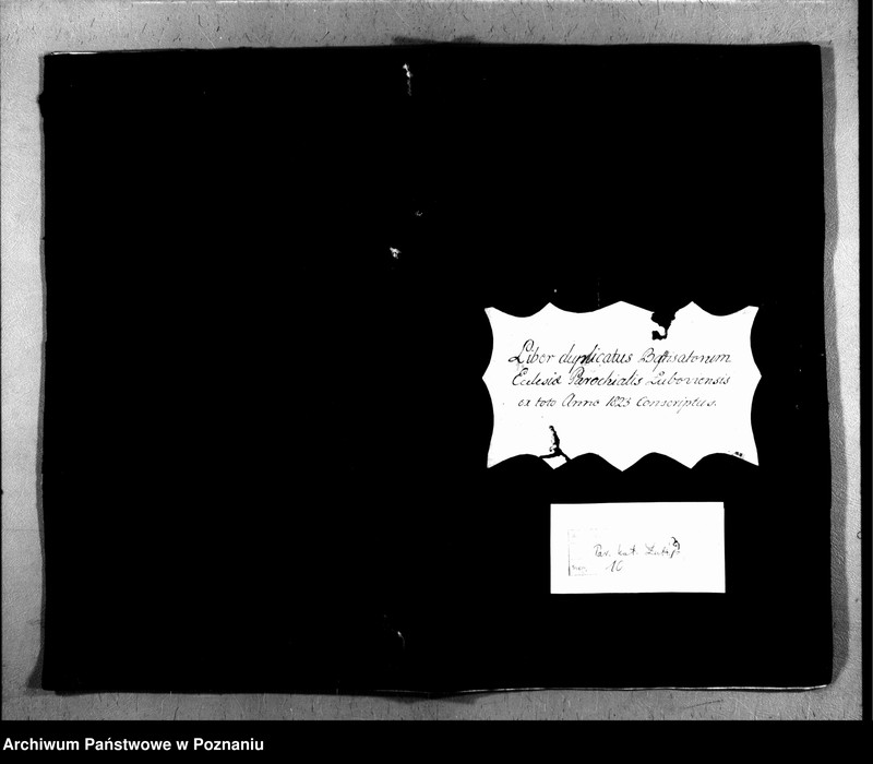 image.from.unit.number "Duplicatus baptisatorum"