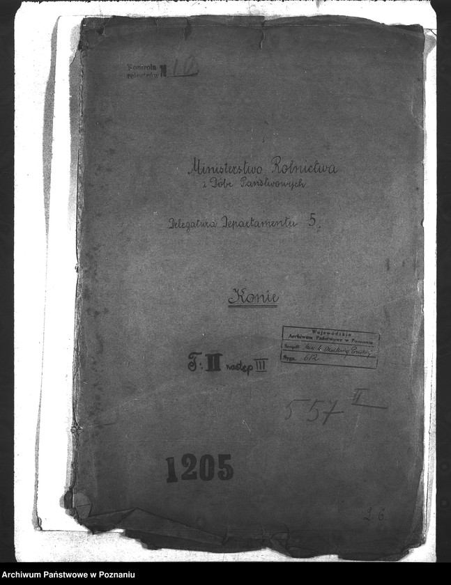 Obraz 4 z jednostki "Konie"