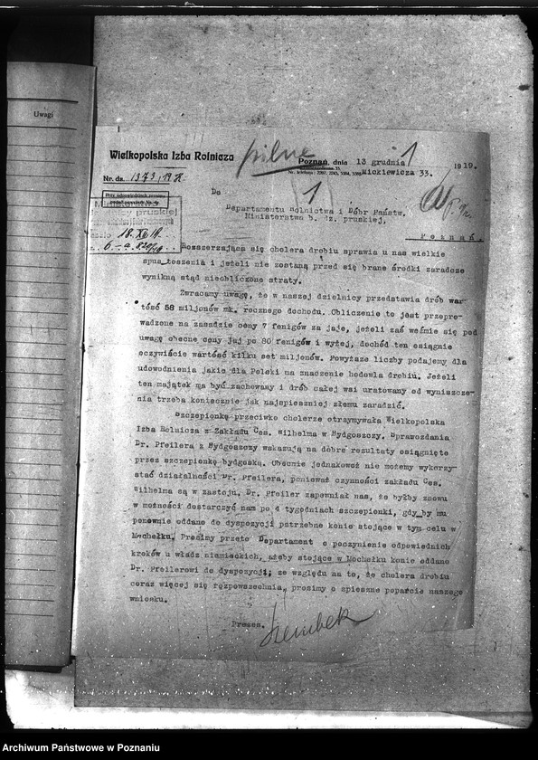 Obraz 5 z jednostki "Instytut Higieny Zwierząt w Bydgoszczy"