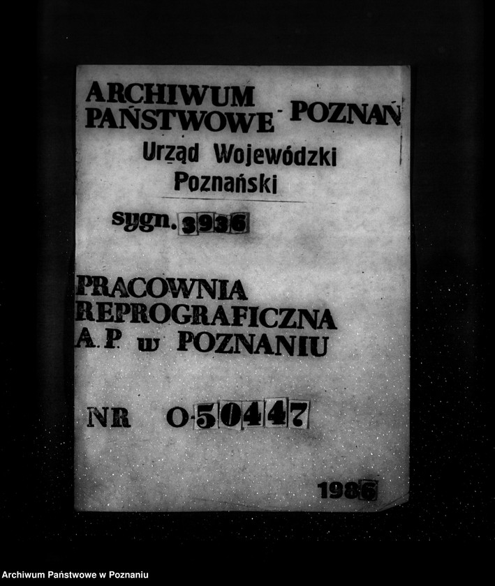 Obraz 1 z jednostki "Zatwierdzenie projektu planu gospodarczego dla lasu majątku Brudzew powiat turecki"