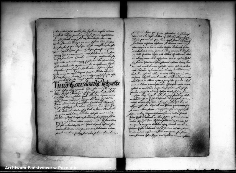 Obraz 20 z jednostki "Inscriptiones [inducta]"