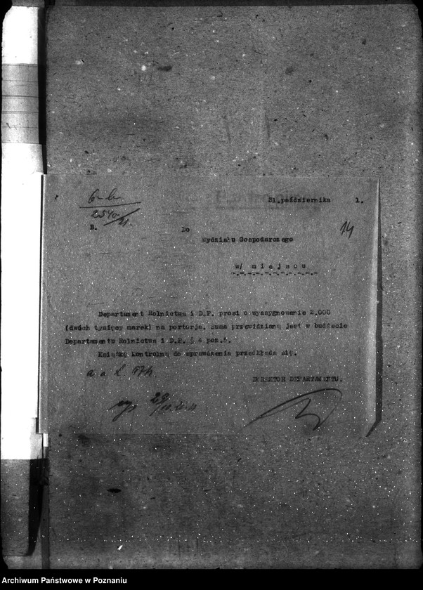 Obraz 18 z jednostki "Sprawy gospodarcze-ogólne Portoria"