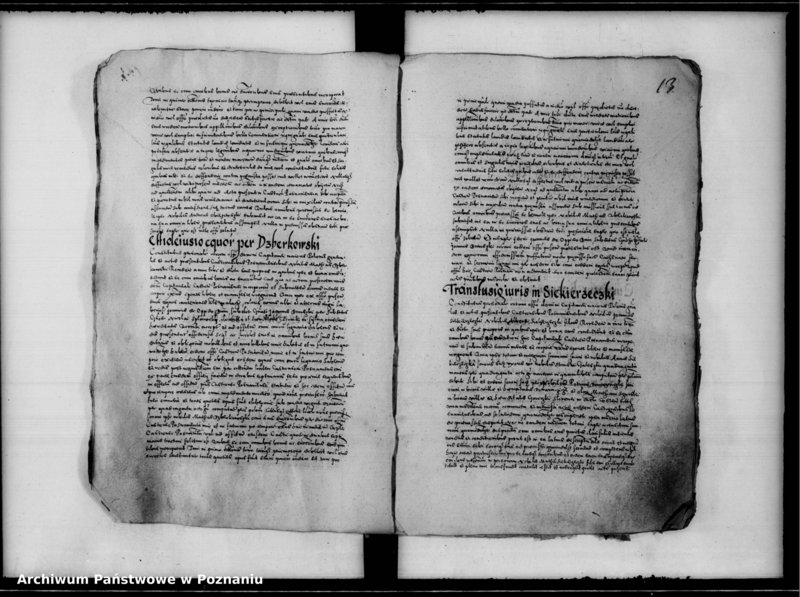 Obraz 18 z jednostki "Inscriptiones, relationes [inducta]"