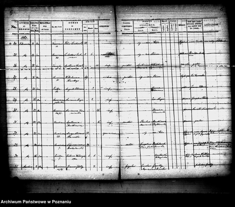 Obraz 4 z jednostki "Księga zgonów"