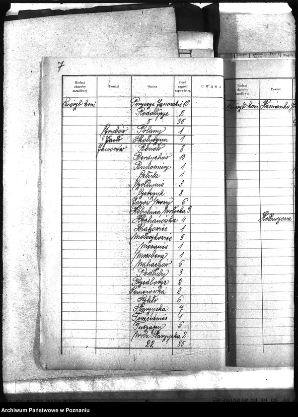 Obraz 13 z jednostki "Wykaz zaraźliwych chorób zwierzęcych Galicja"