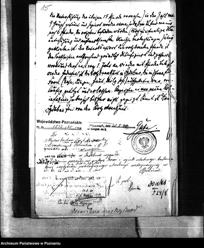 Obraz 19 z jednostki "Nosacizna - Międzychód"