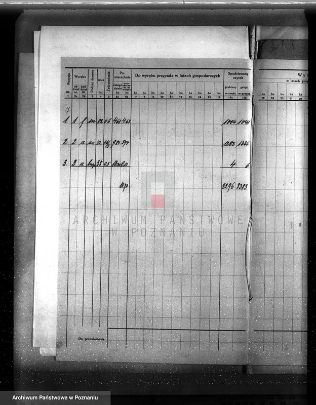 Obraz 11 z jednostki "Plan urządzenia gospodarstwa leśnego majątku Chlewiska w powiecie szamotulskim"