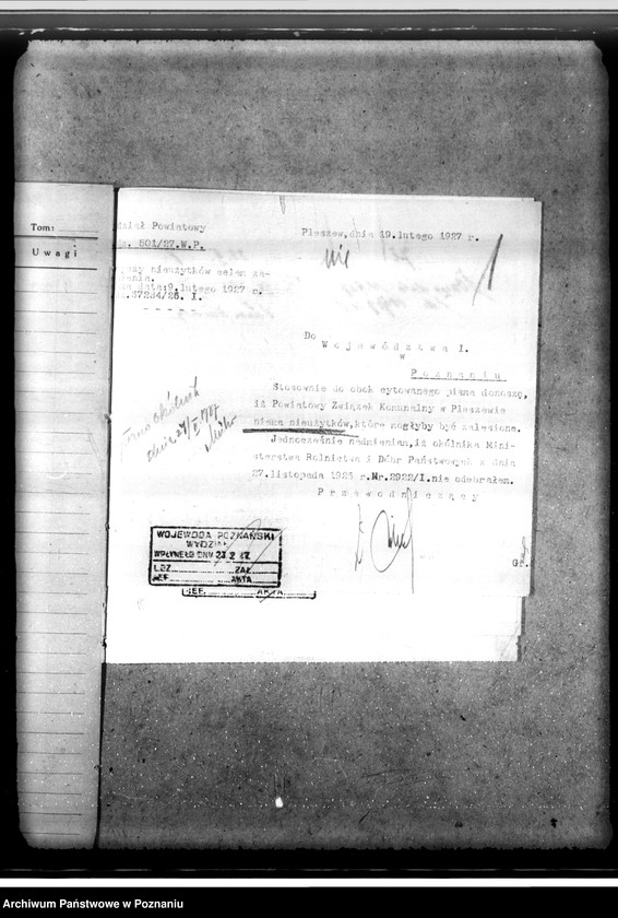 Obraz 6 z jednostki "Zalesienie nieużytków w powiecie jarocińskim"