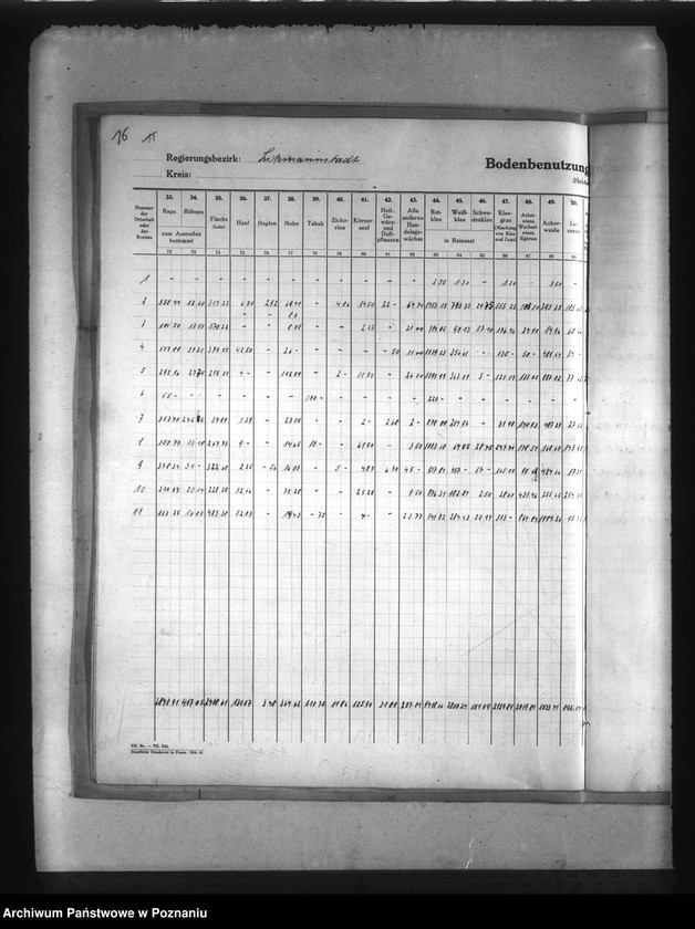 Obraz 19 z jednostki "Statystyka użytków rolnych w Kraju Warty"