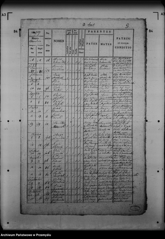 Obraz 13 z jednostki "[Kopie ksiąg metrykalnych parafii Czarna z filią Żołobek (dekanat Lutowiska)]"