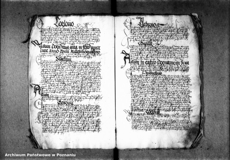 Obraz 11 z jednostki "Inscriptiones, relationes, decreta [inducta]"