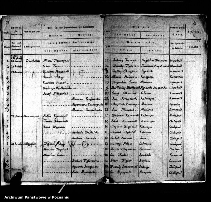 Obraz 17 z jednostki "Duplikat natorum, copulatorum, mortuorum"