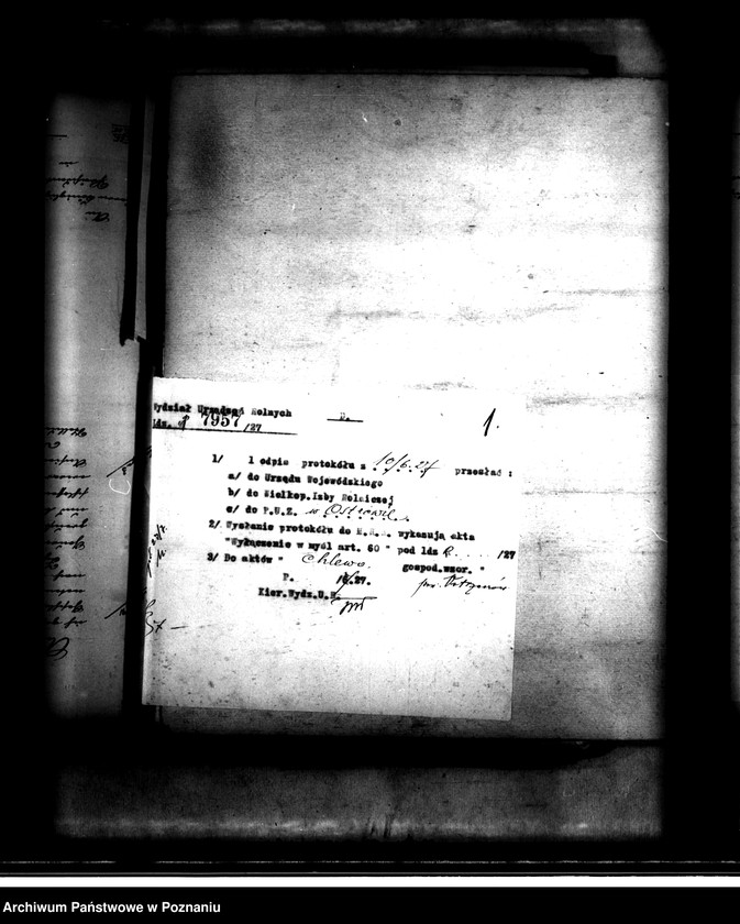 Obraz 4 z jednostki "Gospodarstwo wzorowe Chlewo powiatu ostrowskiego"