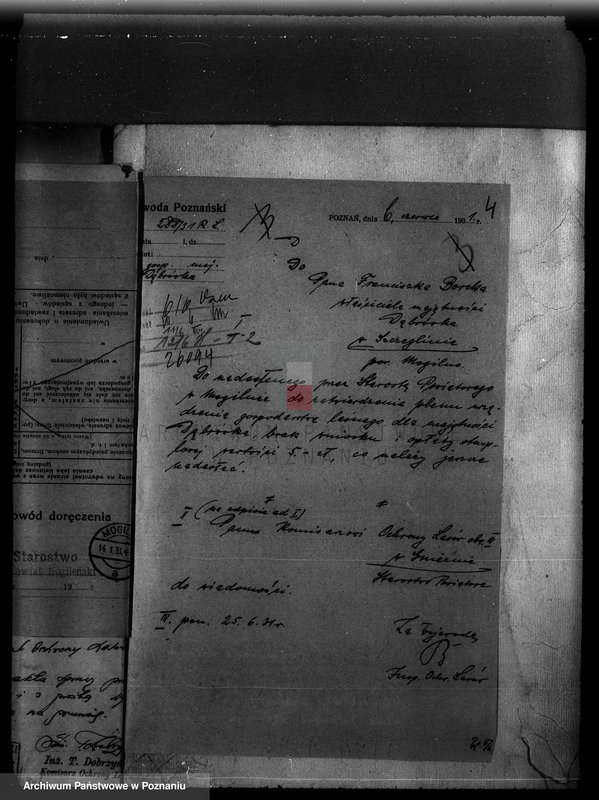 Obraz 8 z jednostki "Majętność /leśna/ Szczeglin Dąbrówka w powiecie mogileńskim"