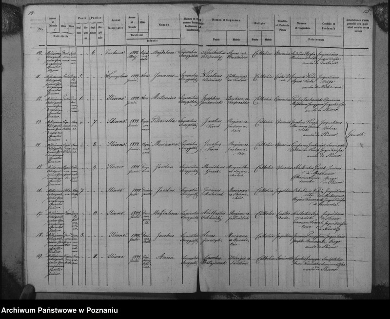 Obraz 10 z jednostki "Duplicat baptisatorum, copulatorum, mortuorum"