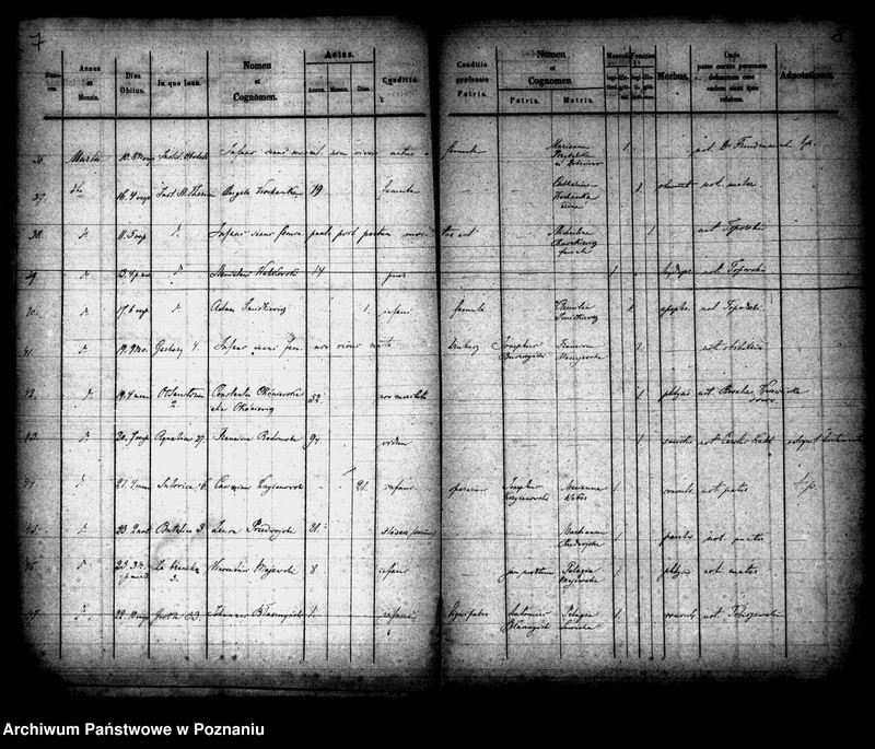 Obraz 5 z jednostki "Księga zgonów"