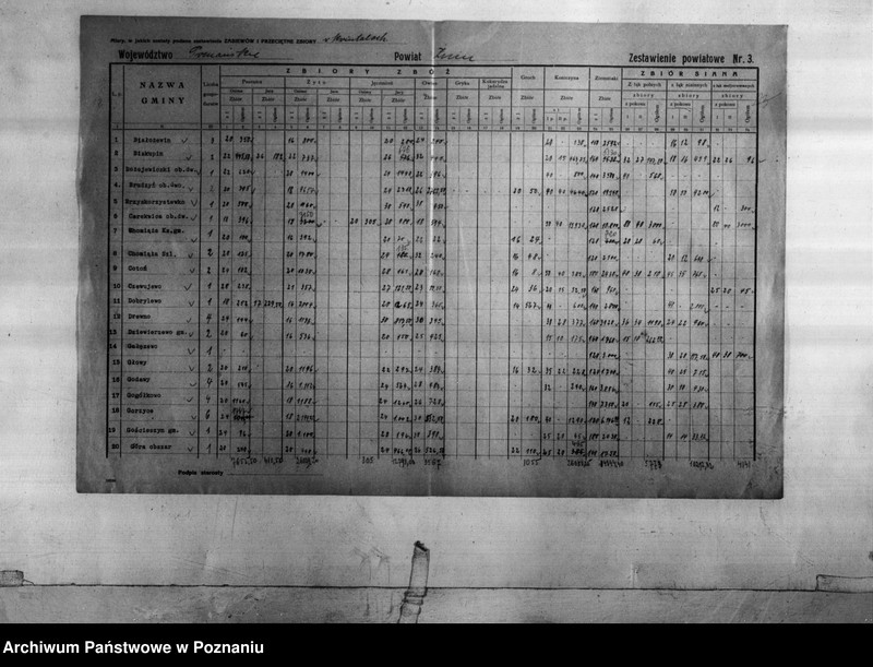 Obraz 13 z jednostki "Statystyka produkcji rolnej - zestawienie z powiatu żnińskiego"