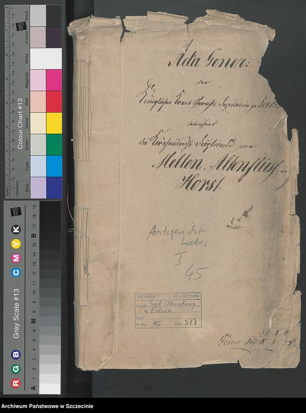 image.from.unit.number "Kirchenbuchsduplicate von Mellen [Mielno], Altenflies [Trzebawie] und Horst [Chwarstno]"