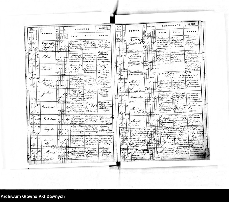 image.from.unit.number "Parafia: Busk. Dekanat: Busk. Księga metrykalna urodzeń dla miasta Busk i przedmieść."