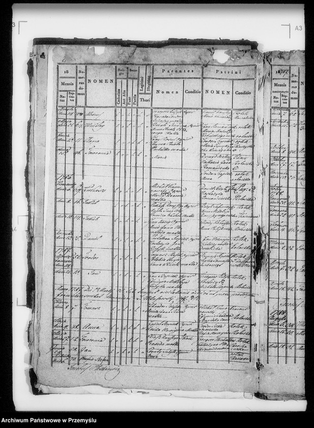 Obraz 7 z jednostki "[Kopie ksiąg metrykalnych parafii Żabcze Murowane z filią Bezejów (dekanat Bełz)]"