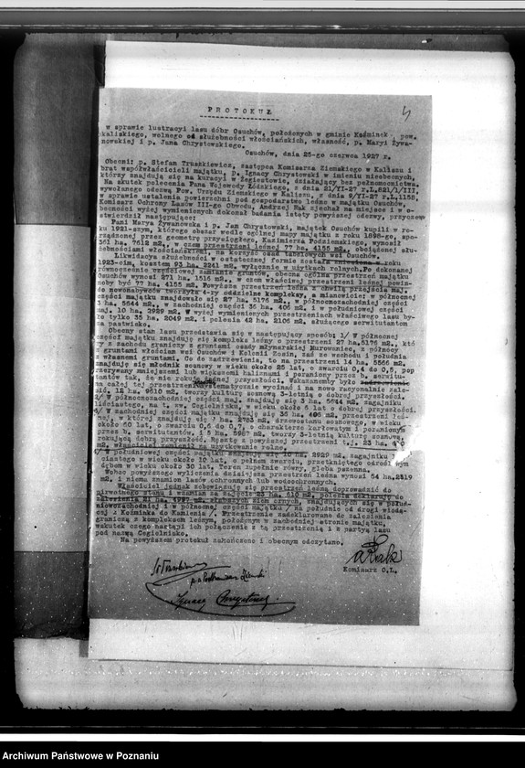 Obraz 8 z jednostki "Sprawa lustracji lasu dóbr Osuchów powiatu kaliskiego oraz sprawa odroczenia terminu zalesienia 3,06 ha gruntów leśnych"