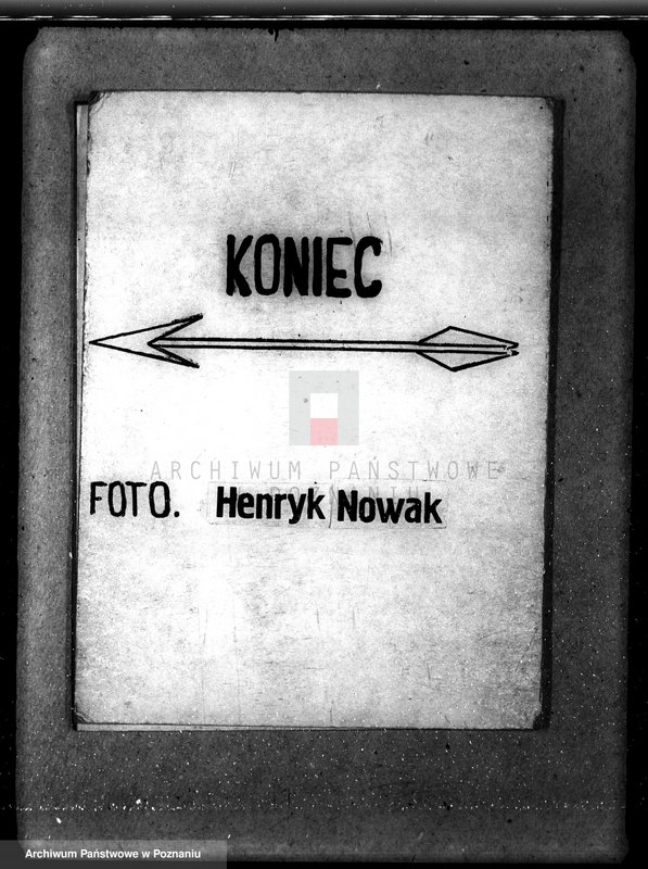 Obraz 11 z jednostki "Nadzór nad gospodarką w lasach majątku Bogusławek w powiecie gostyńskim"