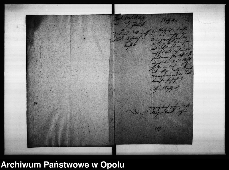 Obraz 17 z jednostki "Acta des Magistrats zu Oppeln von Flachs Anbau und der darüber zu erstattende jährlichen Eingaben"