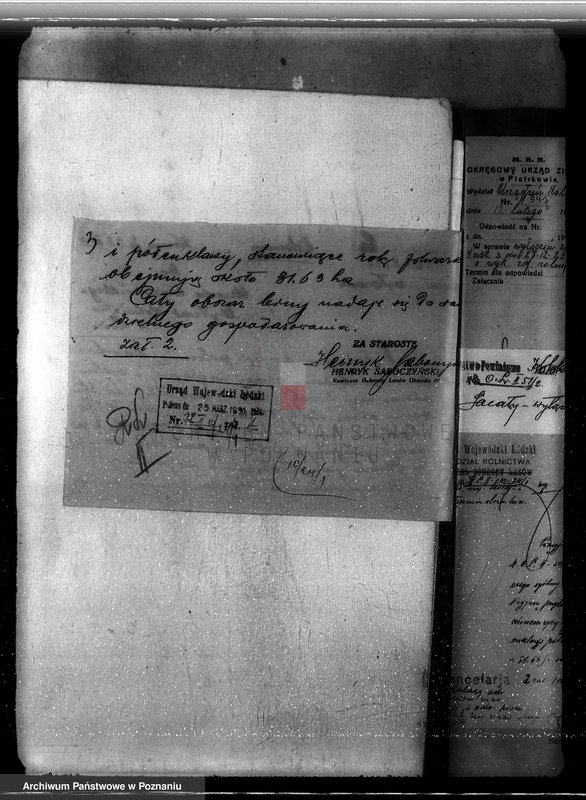 Obraz 7 z jednostki "Sprawa lasów majątku Sacały powiat kolski gmina Koźmin"