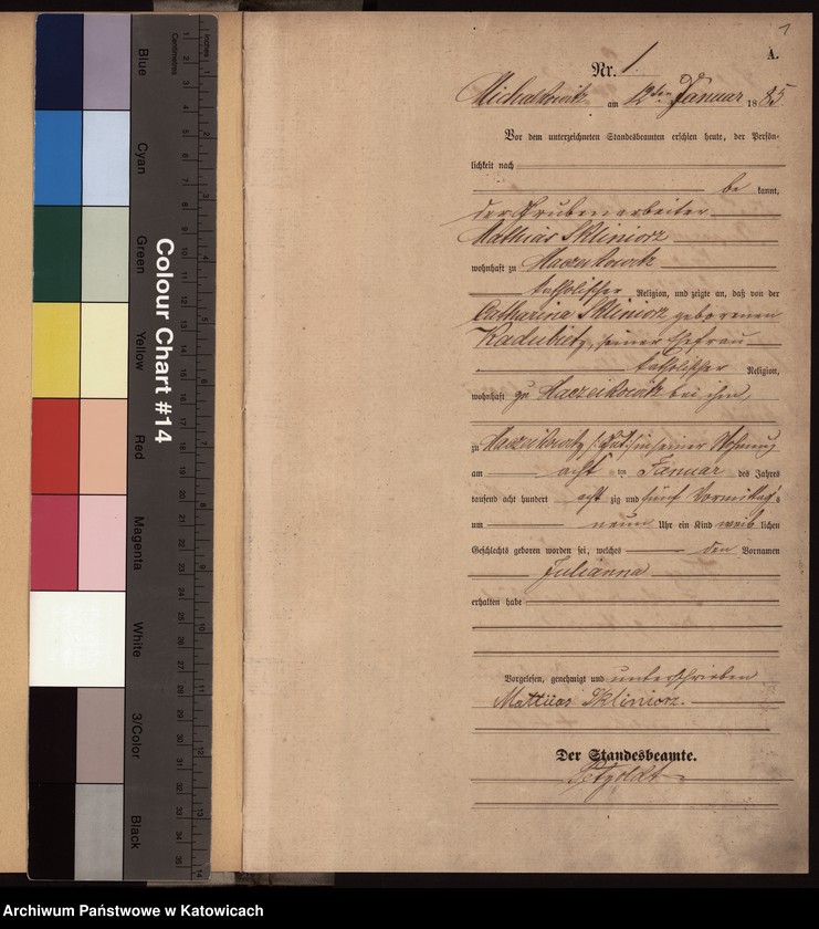 Obraz z jednostki "[Księga urodzeń za rok 1885, nr 1-116]"