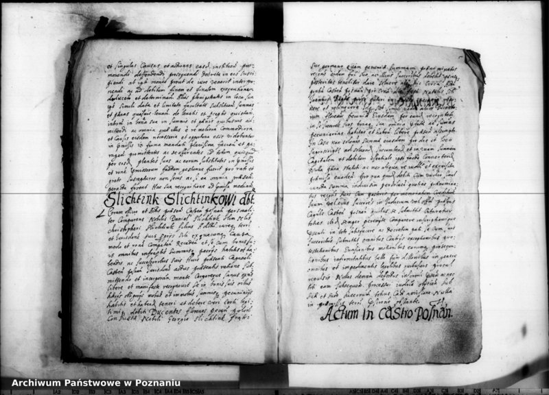 Obraz 10 z jednostki "Inscriptiones [inducta]"