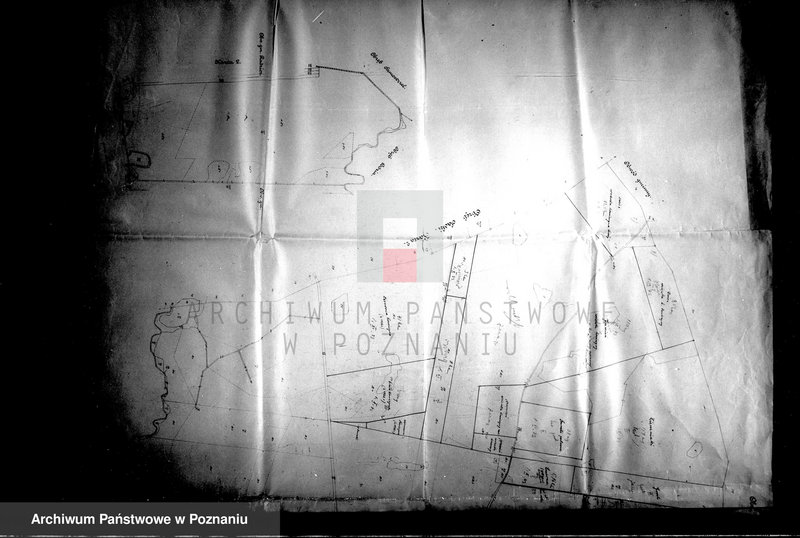 Obraz 9 z jednostki "Majątek Dębowo powiatu wyrzyskiego parcelacja rządowa"