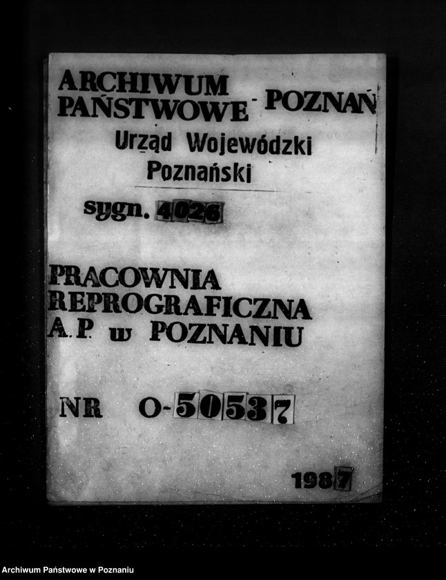 Obraz 1 z jednostki "Zalesienie nieużytków w powiecie żnińskim"