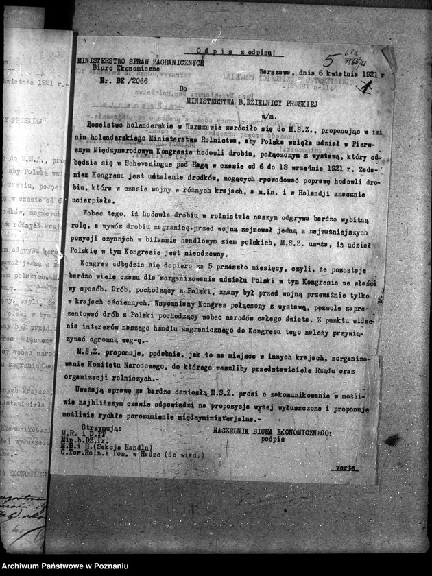 Obraz 9 z jednostki "Sprawy szczegółowo-administracyjne Drobny inwentarz i drób"