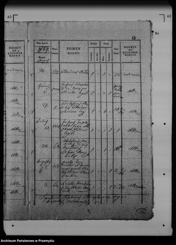 Obraz 17 z jednostki "[Kopie ksiąg metrykalnych parafii Wólka Mazowiecka (dekanat Rawa Ruska)]"