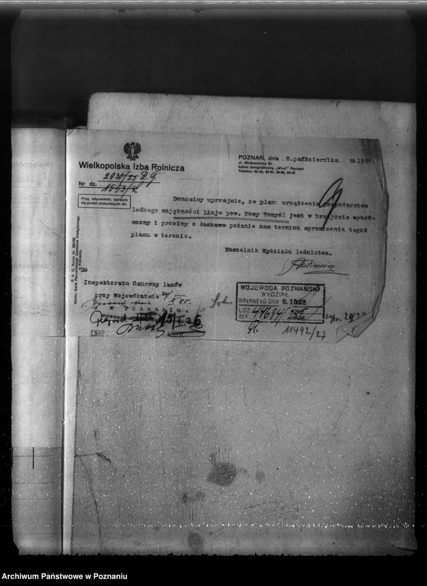 Obraz 17 z jednostki "Majętność leśna Linie w powiecie nowotomyskim"