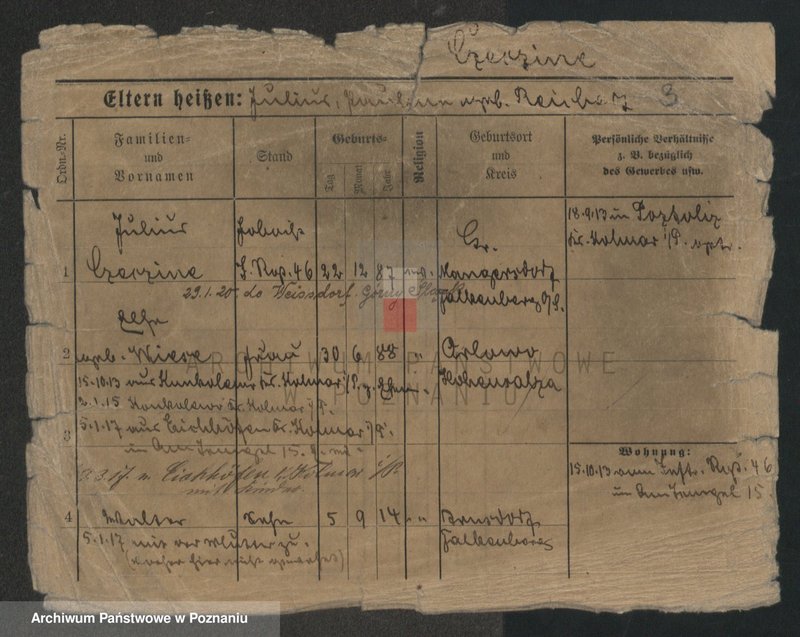 Obraz 5 z jednostki "Czeczewski - Czernielewski"