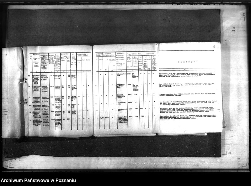 Obraz 9 z jednostki "Wykaz gruntów i obiektów należących do żandarmerii w rejencji łódzkiej"