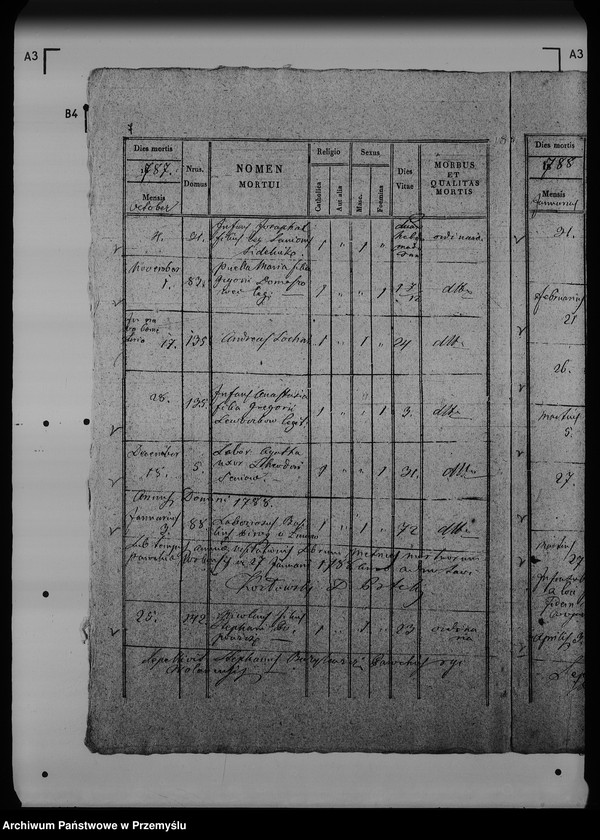 Obraz 12 z jednostki "[Kopie ksiąg metrykalnych parafii Wólka Mazowiecka (dekanat Rawa Ruska)]"